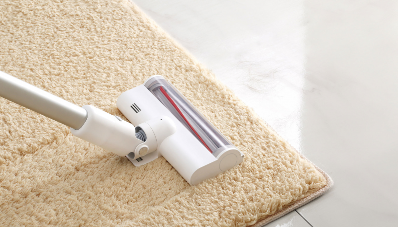 Купить  Xiaomi ROIDMI XCQ08RM — Фото 6