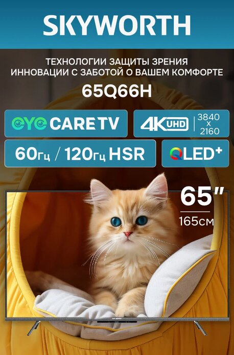 Телевизор SKYWORTH 65Q66H																		 — описание, фото, цены в интернет-магазине PT Stores