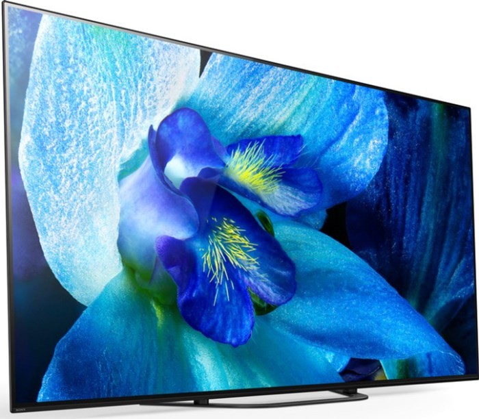 Купить Телевизор SONY KD65AG8 — Фото 3