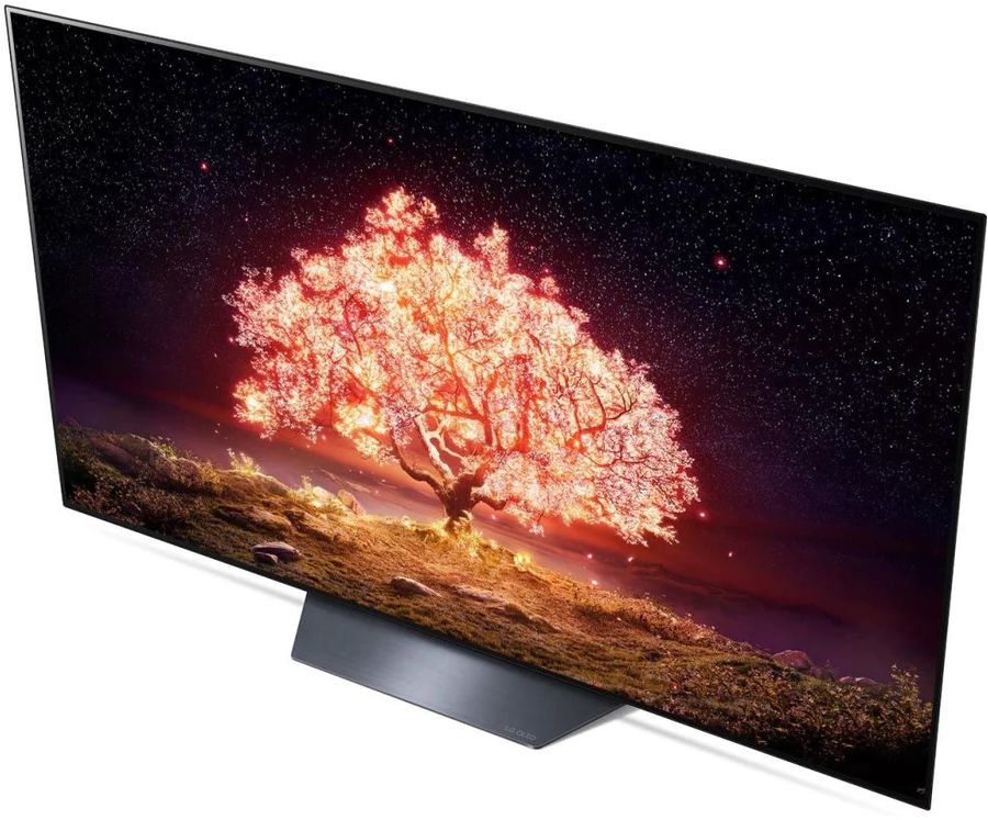 Купить Телевизор LG OLED65B1RLA — Фото 5