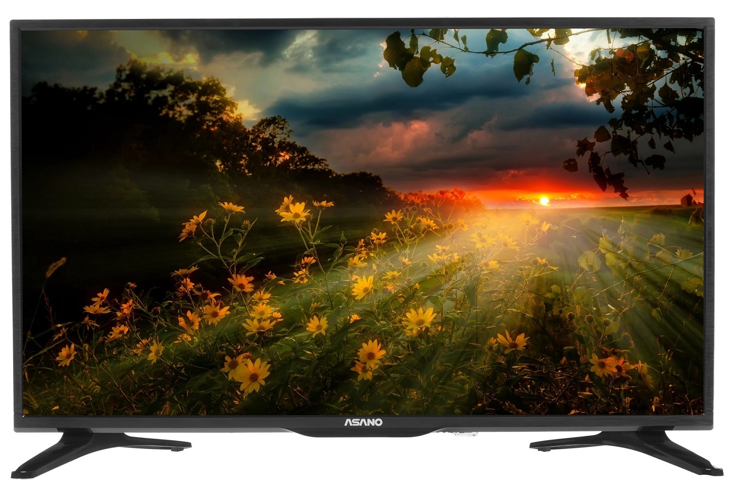 Телевизор ASANO 32LH1020S																		 — описание, фото, цены в интернет-магазине PT Stores