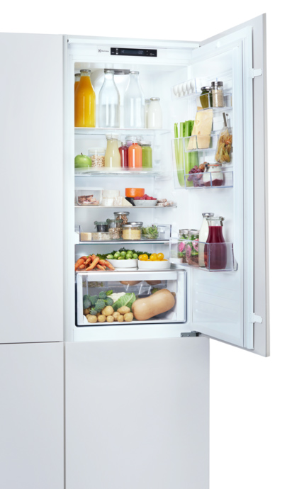 Купить Встраиваемый холодильник Electrolux RNS7TE18S — Фото 2