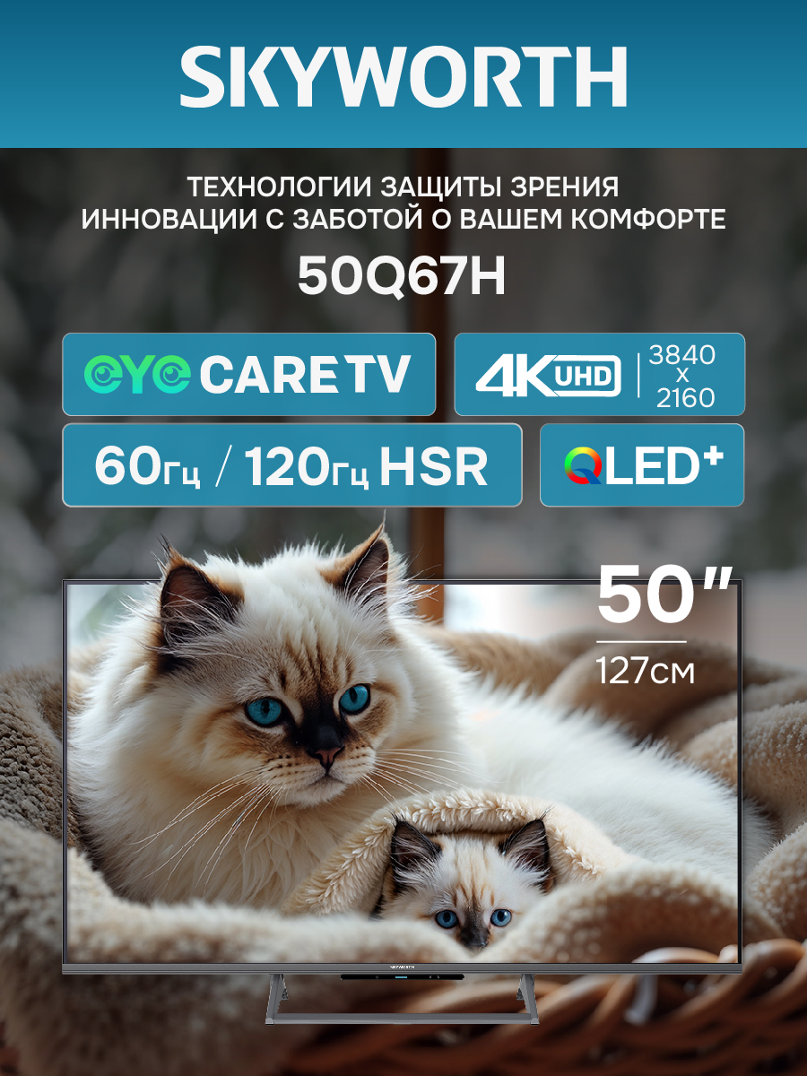 Телевизор SKYWORTH 50Q67H																		 — описание, фото, цены в интернет-магазине PT Stores