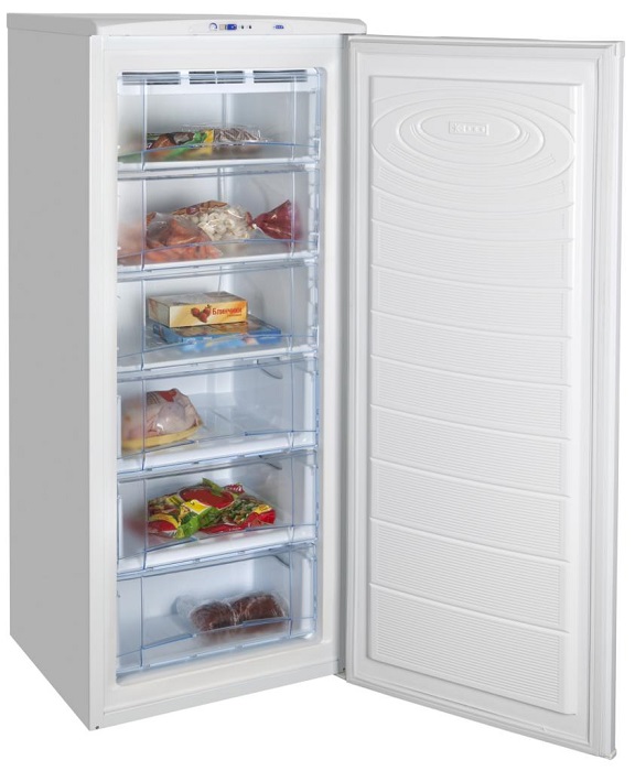 Купить Морозильная камера NORD EF 210 010 — Фото 2