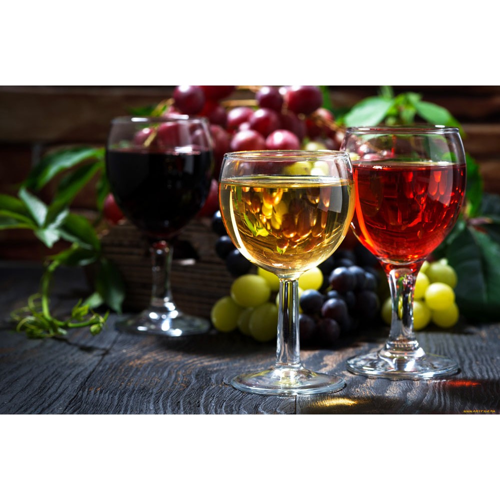 Купить Винный шкаф CASO WineComfort 380 Smart — Фото 9