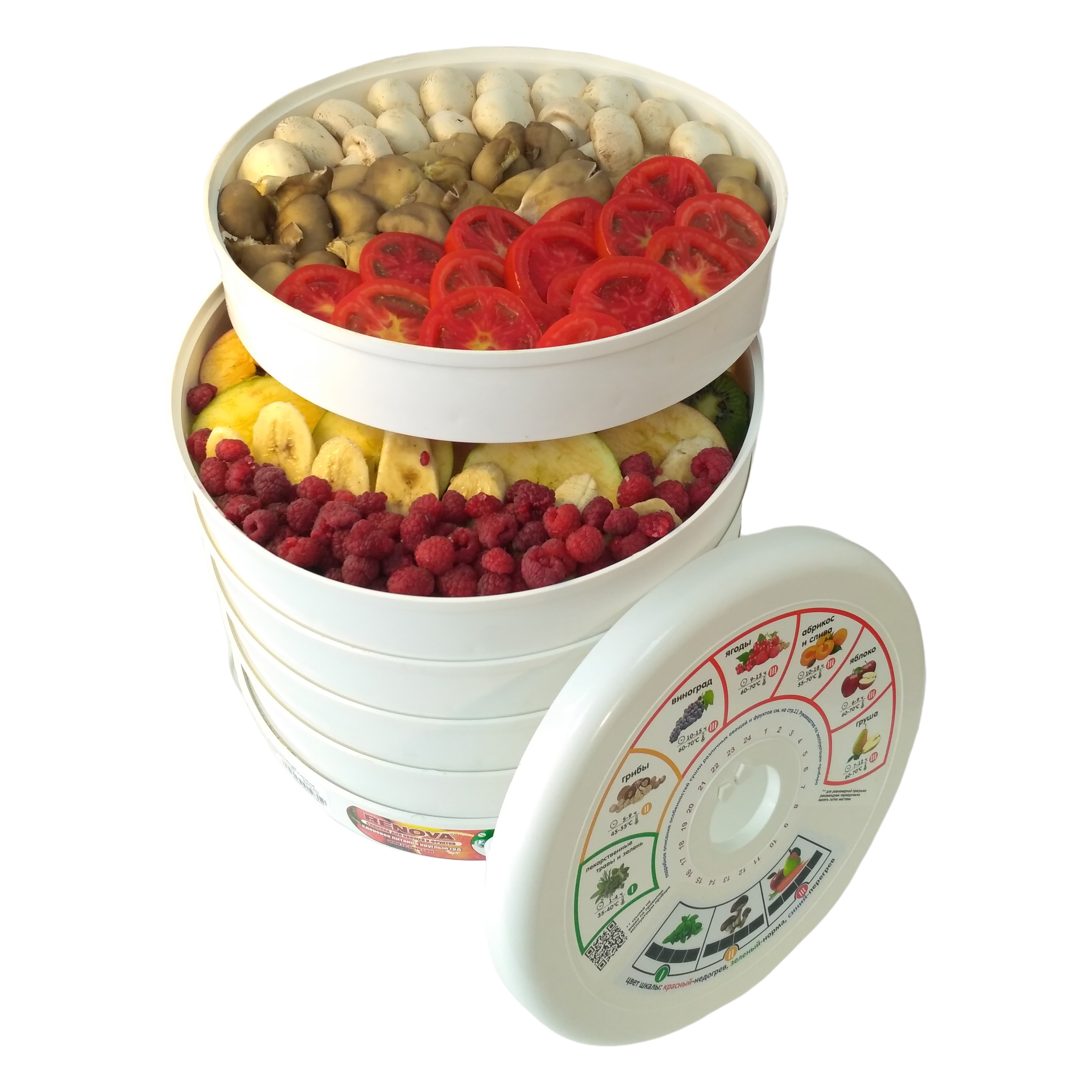 Купить Сушилка для овощей и фруктов RENOVA DVN31-500/5  (R) ренова — Фото 2