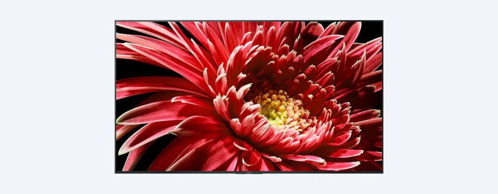 Купить Телевизор SONY KD75XG8596 — Фото 4