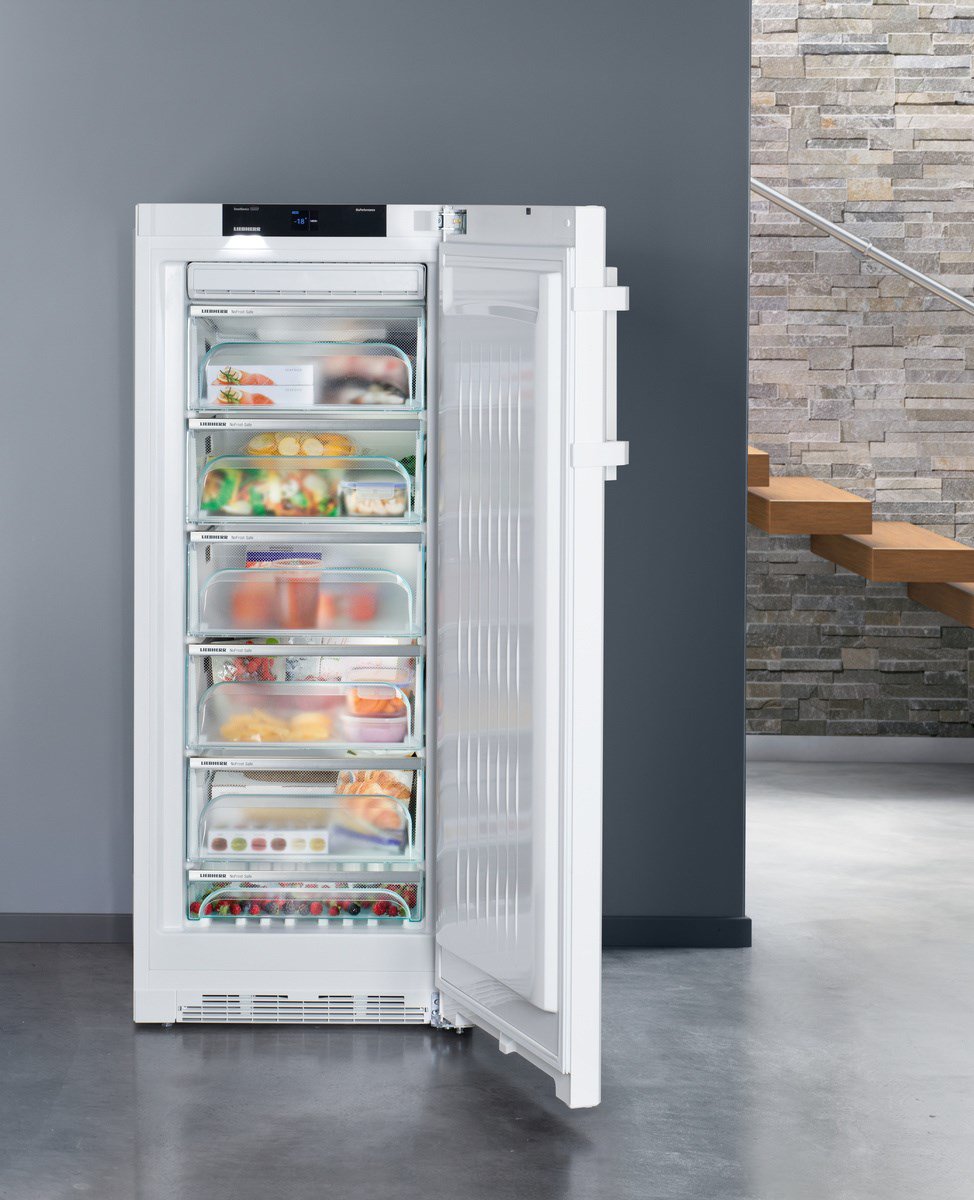 Купить Морозильная камера LIEBHERR GNP 3255 — Фото 8