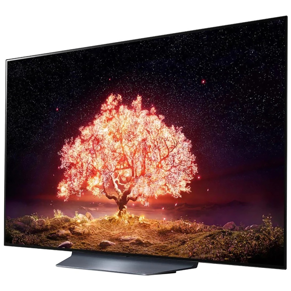 Купить Телевизор LG OLED55B1RLA — Фото 6