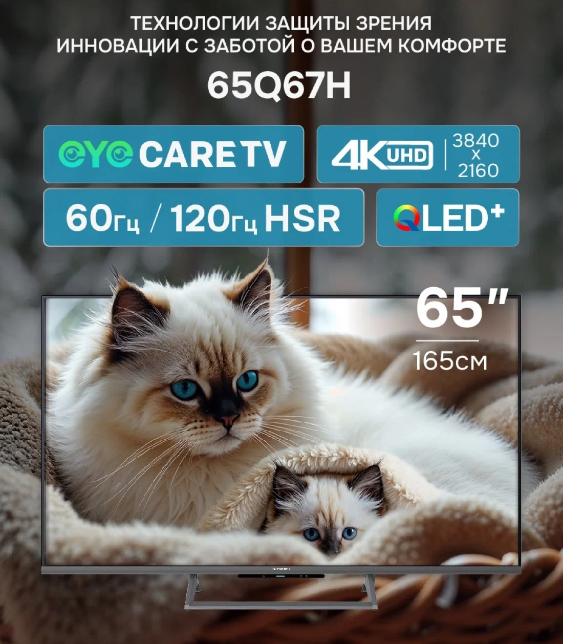 Телевизор SKYWORTH 65Q67H																		 — описание, фото, цены в интернет-магазине PT Stores