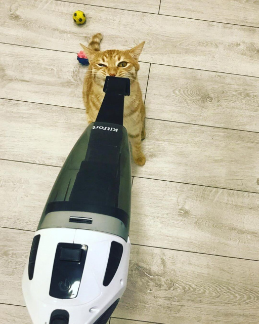 Купить  Kitfort KT-557 — Фото 7