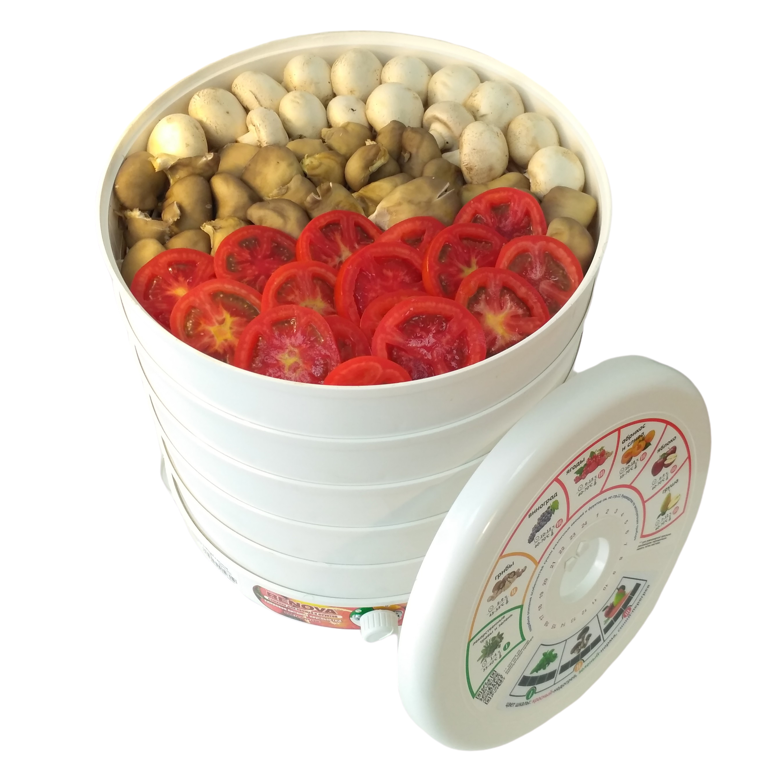 Купить Сушилка для овощей и фруктов RENOVA DVN31-500/5  (R) ренова — Фото 3