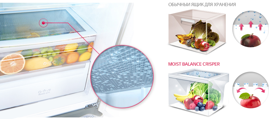 Feat_Balance-crisper_GR-N319LL.jpg Feat_Balance-crisper_GR-N319LL.jpg