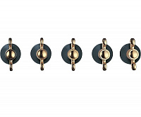 SMEG 5MP800A