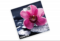 Напольные весы CENTEK CT-2421