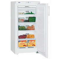 Морозильная камера LIEBHERR GN 1923-21 001