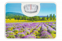 Напольные весы ROLSEN RSM 1304 Impression