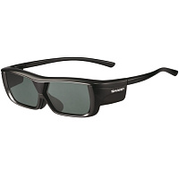 SHARP AN-3DG20/B черный