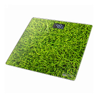 Напольные весы HOME-ELEMENT HE-SC906 молодая трава