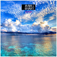 Напольные весы Viconte VC 524-03