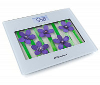 Напольные весы BINATONE BS 8050S