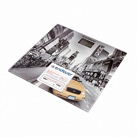 Напольные весы ENDEVER Aurora-557