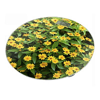 Напольные весы HOME-ELEMENT HE-SC908 желтые маргаритки