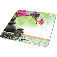 Напольные весы POLARIS PWS 1868D