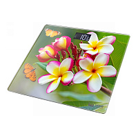 Напольные весы HOME-ELEMENT HE-SC904 плюмерия