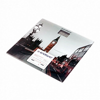 Напольные весы ENDEVER Aurora-556