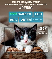 Телевизор SKYWORTH 40E55G