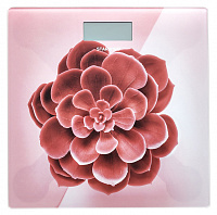 Напольные весы Starwind SSP6041 рисунок