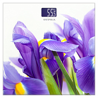 Напольные весы SUPRA BSS-2013